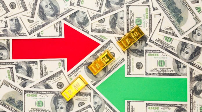 Vantagens e Riscos do Investimento Esportivo: Um Guia Completo