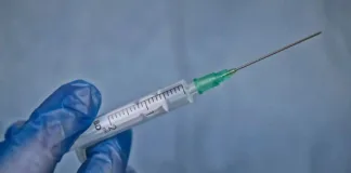 Entenda as diferenças entre as cepas mPox que chegaram ao Brasil entenda-as-diferencas-entre-as-cepas-mpox-que-chegaram-ao-brasil